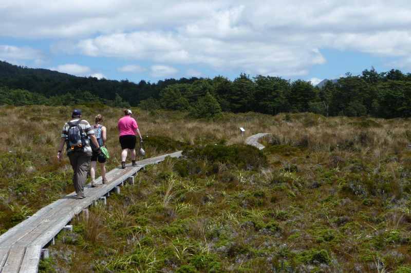 Nieuw-Zeeland 2011 - 0829